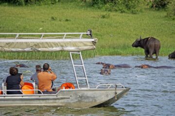 Bootssafari am Kazinga-Kanal während einer Uganda Rundreise
