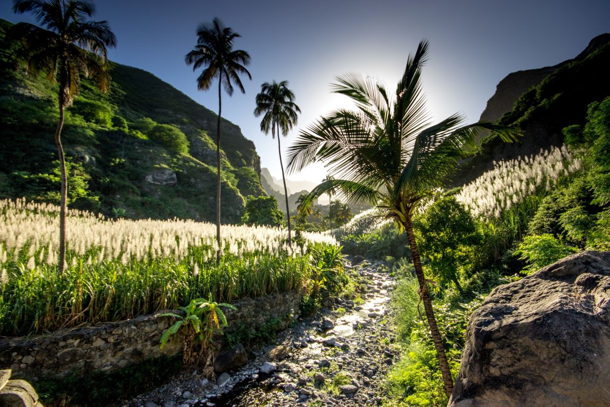 Entdecken Sie das Paul-Tal auf der Insel Santo Antao, Kapverden – eine natürliche Oase der Ruhe.