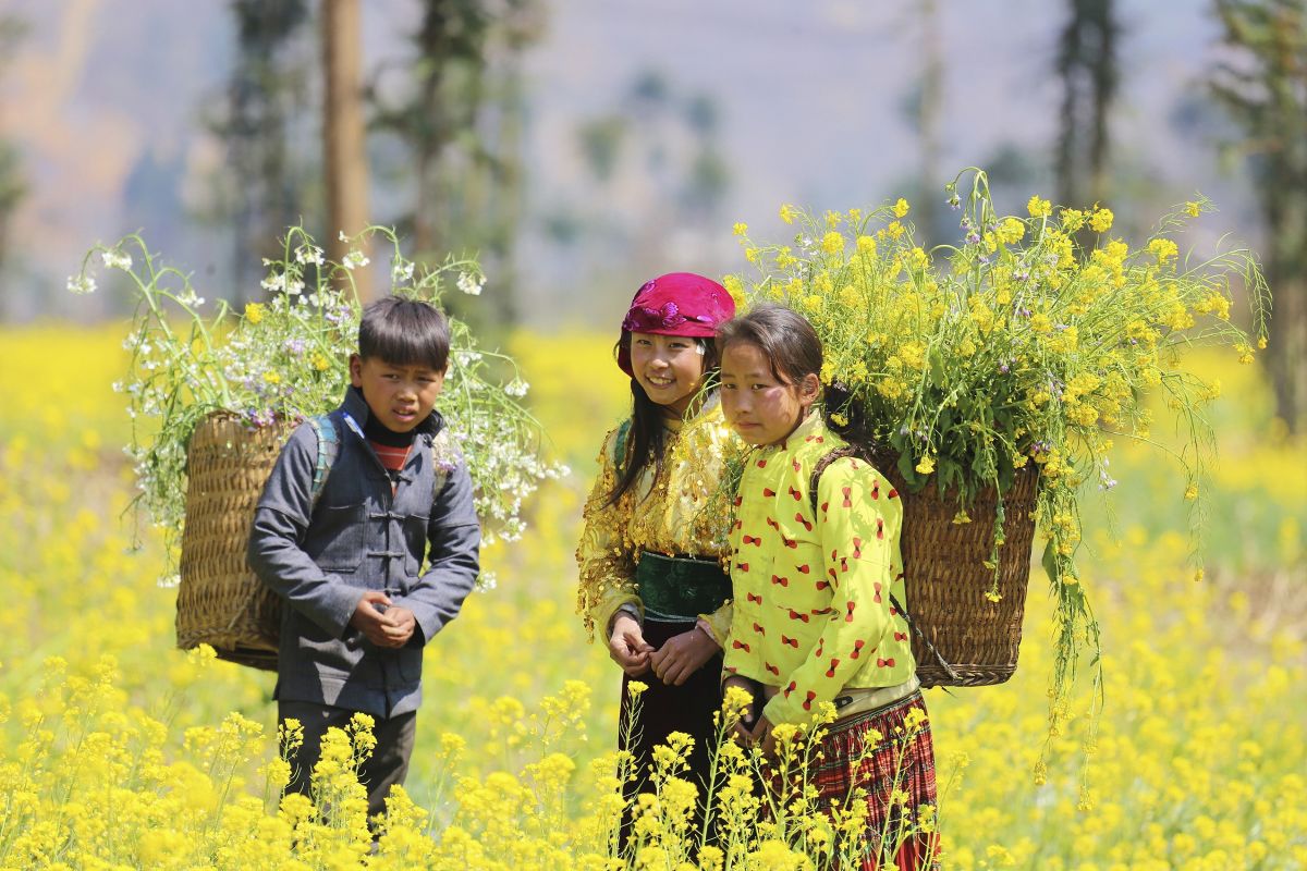Kinder im blühenden Rapsfeld in Vietnam – Ein Moment der Freude in der Natur