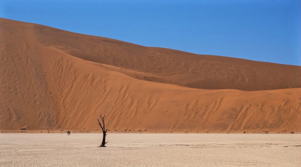 Deadvlei in Namibia: Erleben Sie die faszinierende Wüste und beeindruckende Dünenlandschaften.