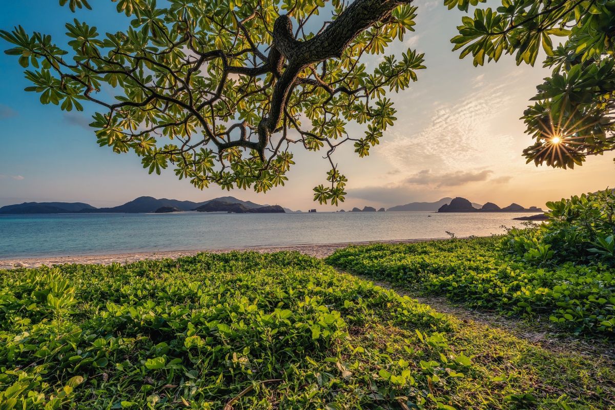 Sonnenuntergang am Strand in Japan: Entspannen Sie in der Natur an der Küste