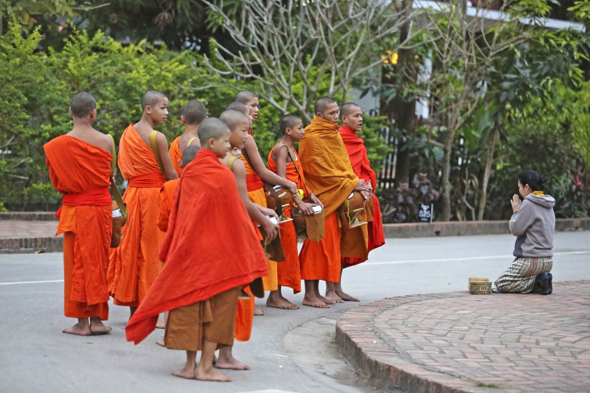 Mönche beim Almosengang in Luang Prabang, Laos: Ein faszinierendes Morgenritual