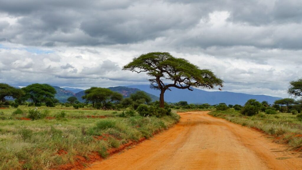 Landschaft im Tsavo Ost Nationalpark: Erleben Sie die Schönheit Kenias