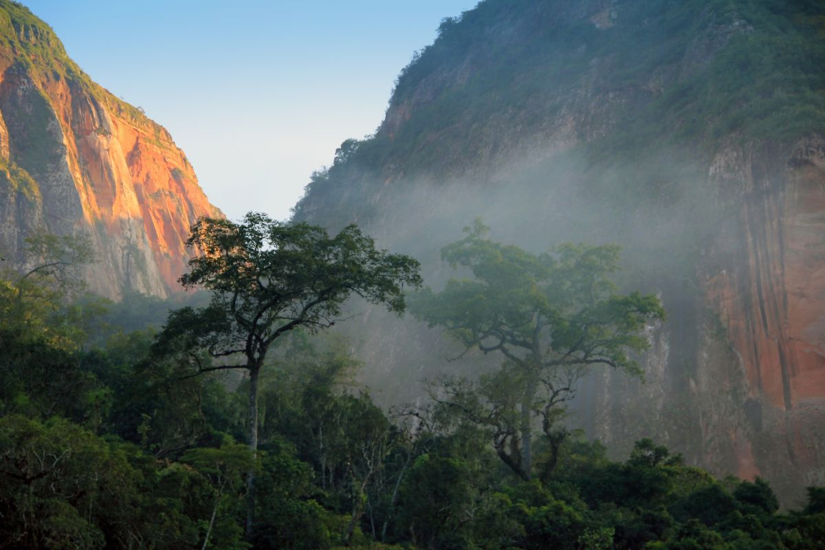 Erleben Sie den Amboro-Nationalpark in Bolivien – Ein Naturabenteuer in Südamerika