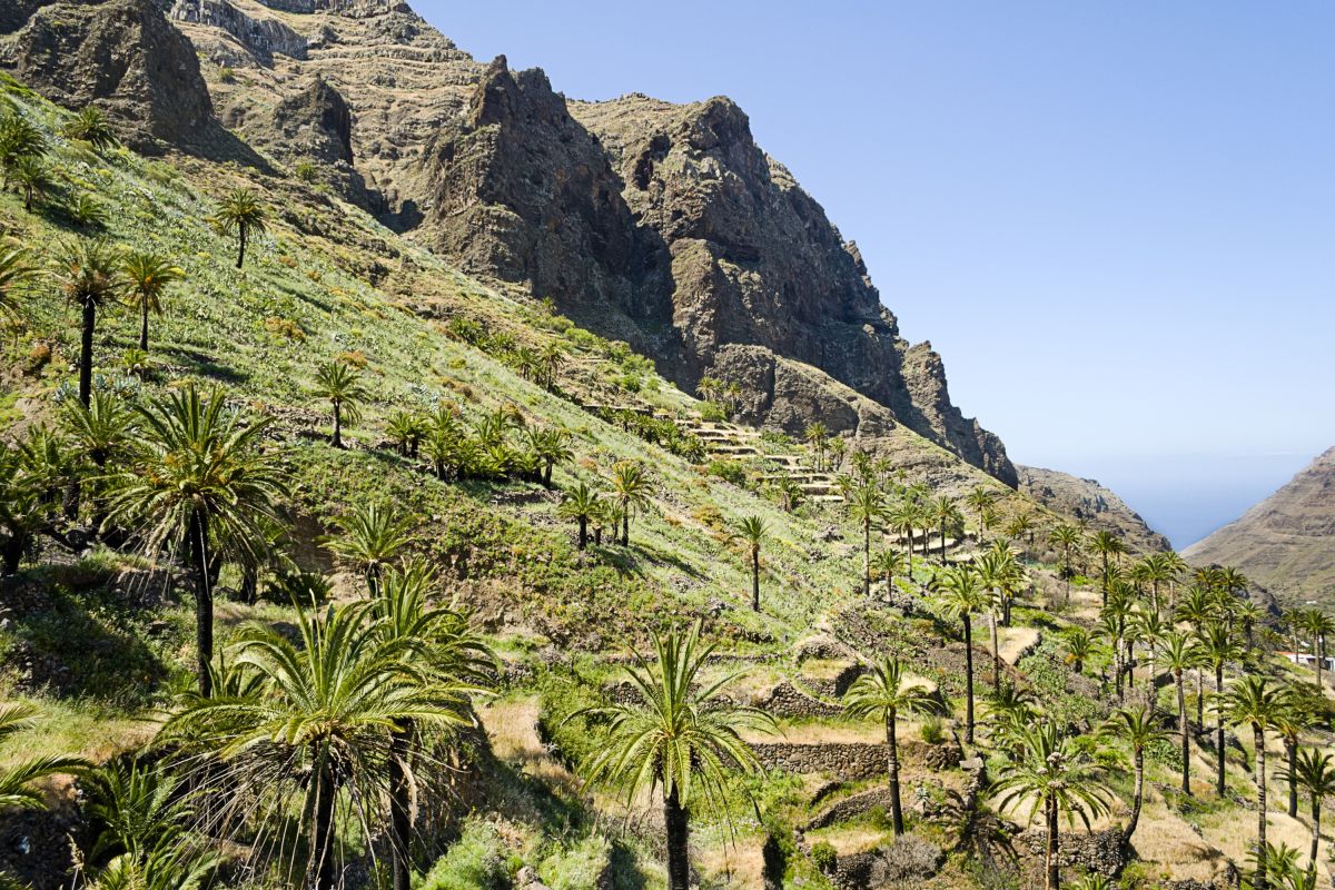 Erkunden Sie das Valle Gran Rey auf der idyllischen Insel Gomera, Spanien