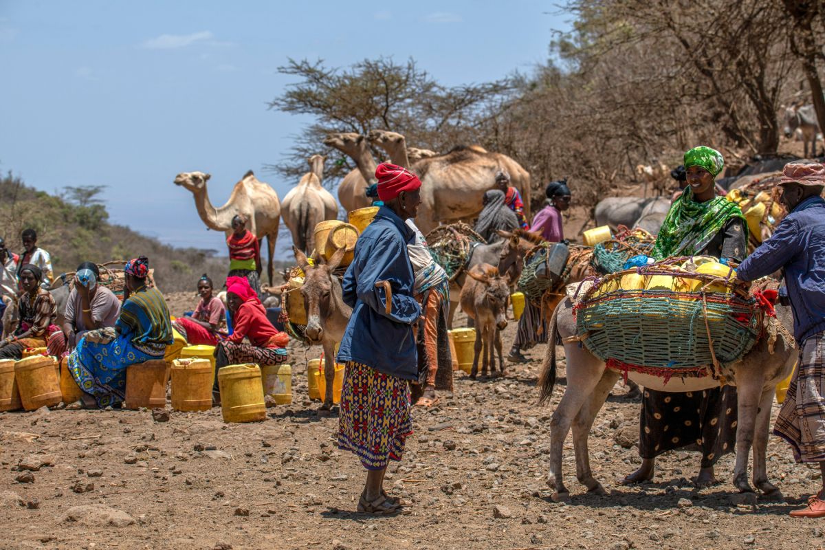An einer Viehtränke in Kenia: Wasser sammeln auf dem Weg nach Marsabit