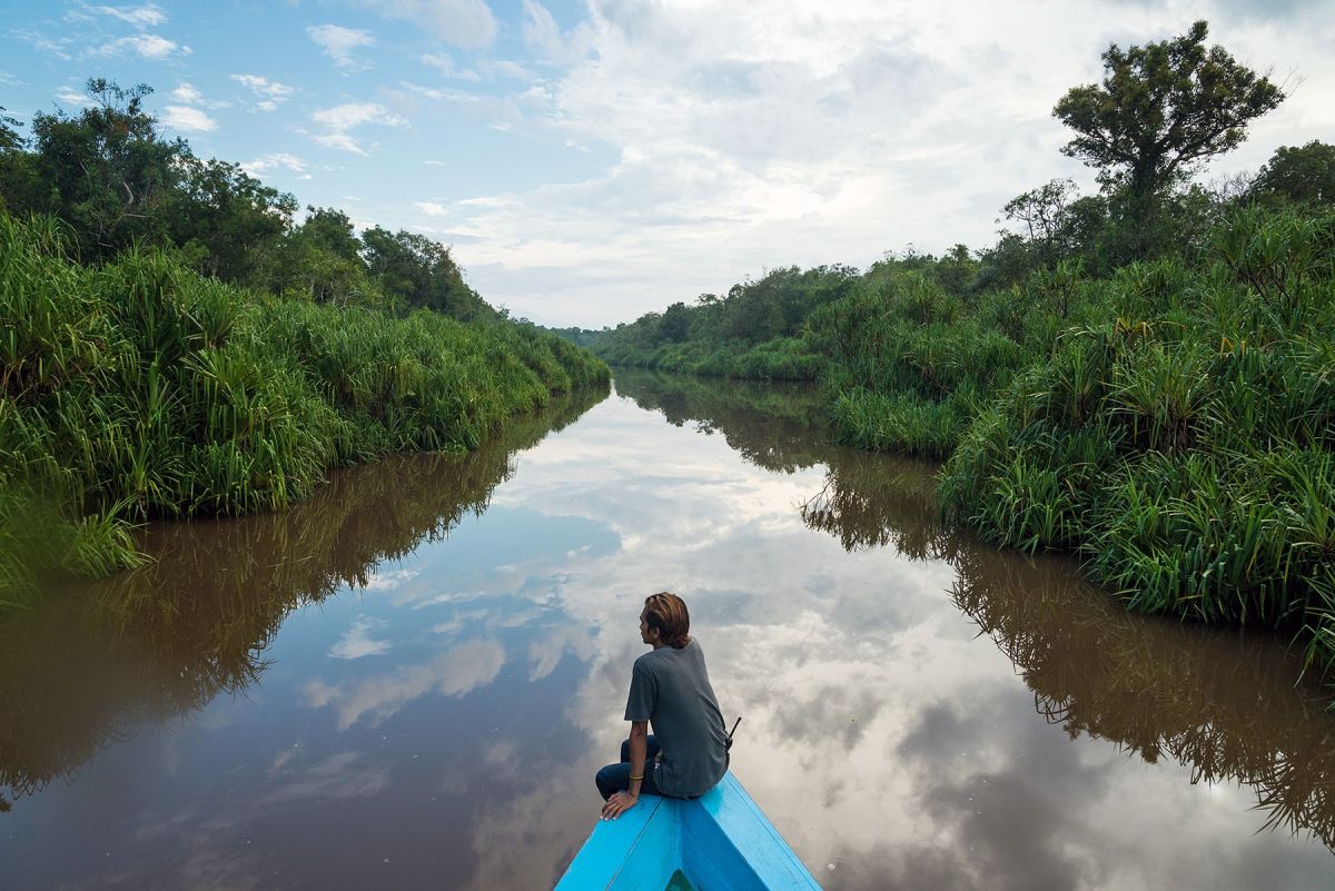 Erleben Sie eine Flussfahrt im Tanjung-Puting-Nationalpark in Indonesien