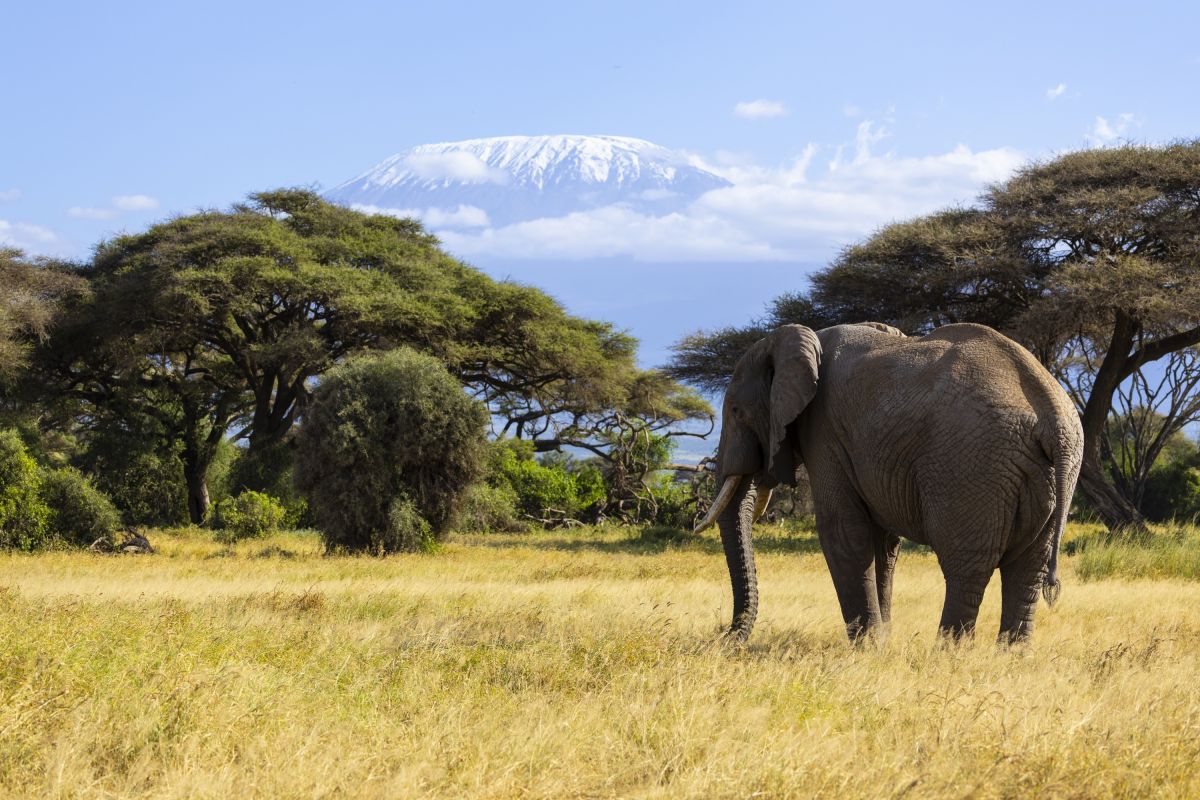Amboseli-Nationalpark