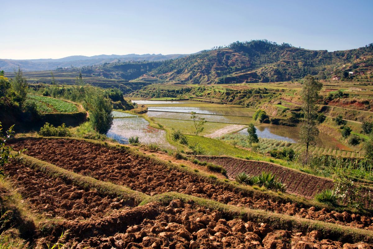 Entdeckungstour in der Natur rund um Betafo, Madagaskar