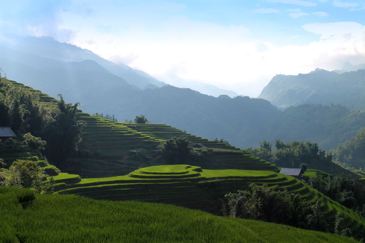 Erleben Sie die beeindruckenden Reisterrassen von Sapa in Vietnam