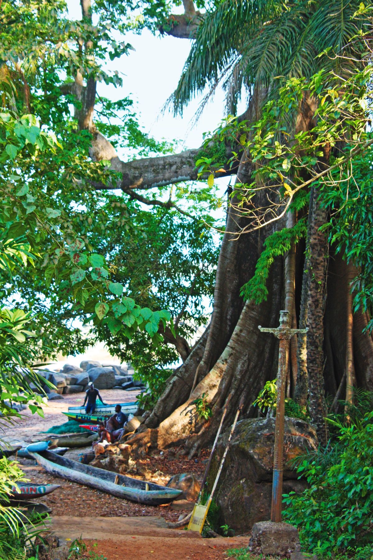Baum Boot – Entspannen in der Natur von Sierra Leone