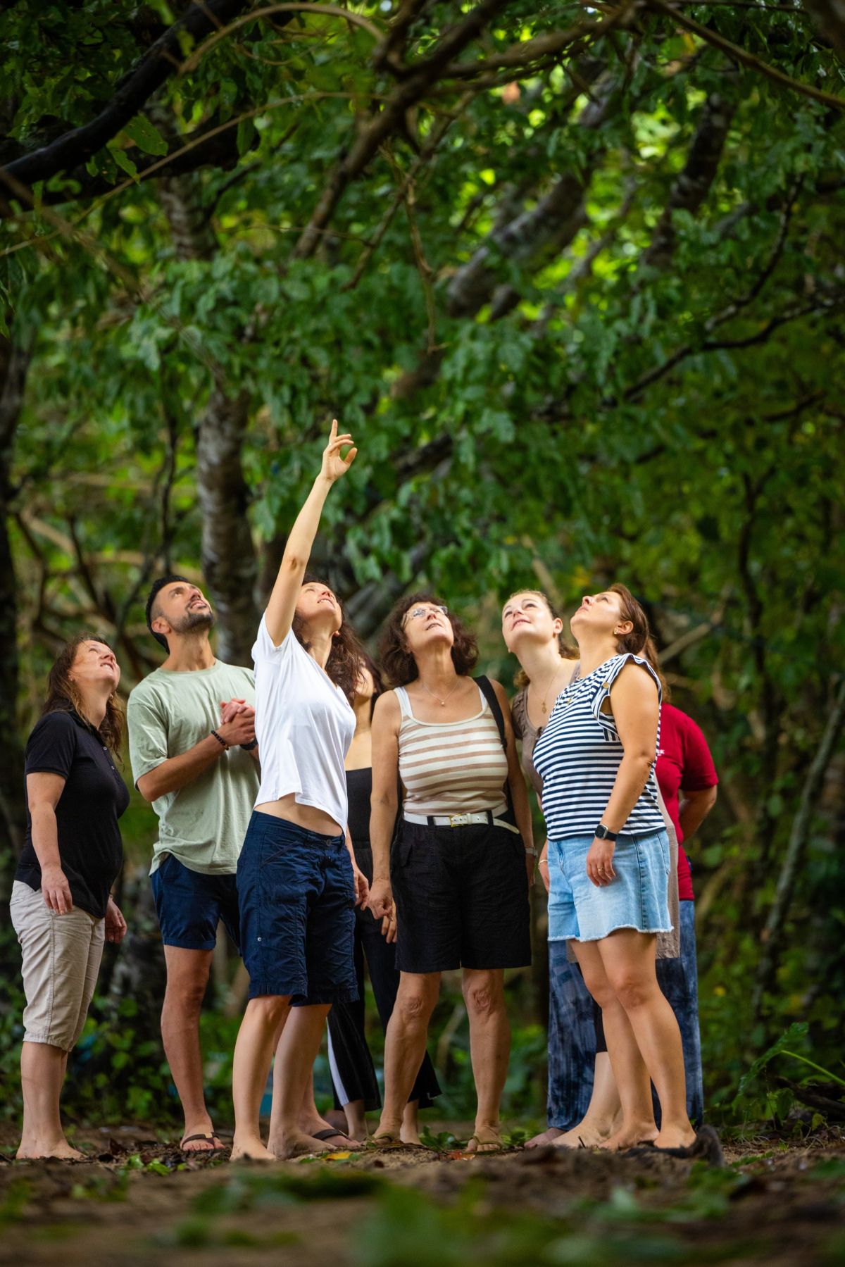 Entdecken Sie die Naturwunder der Philippinen mit einer abenteuerlichen Gruppe
