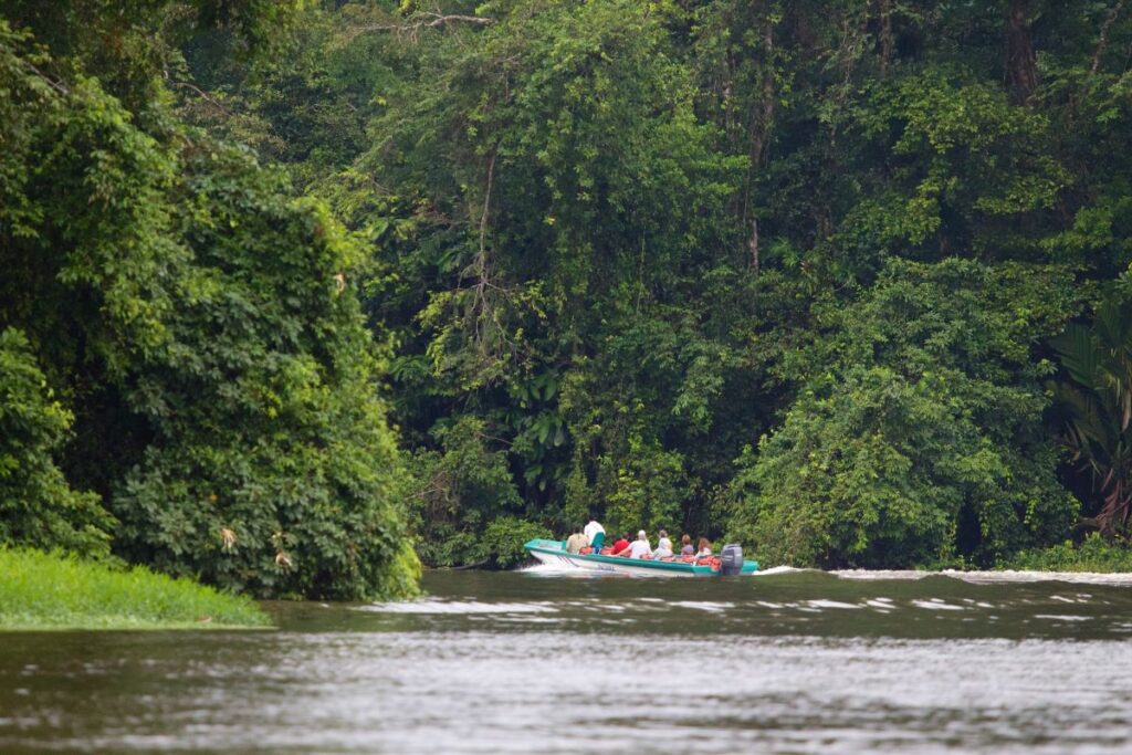 Erleben Sie die unberührte Naturschönheit des Tortuguero Nationalparks in Costa Rica