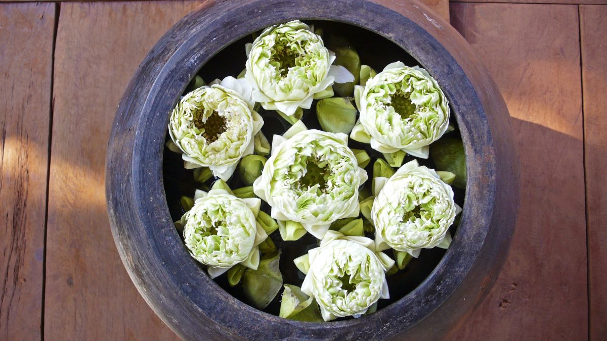 Lotosarrangement in einem Hotel in Kambodscha für entspannte Momente