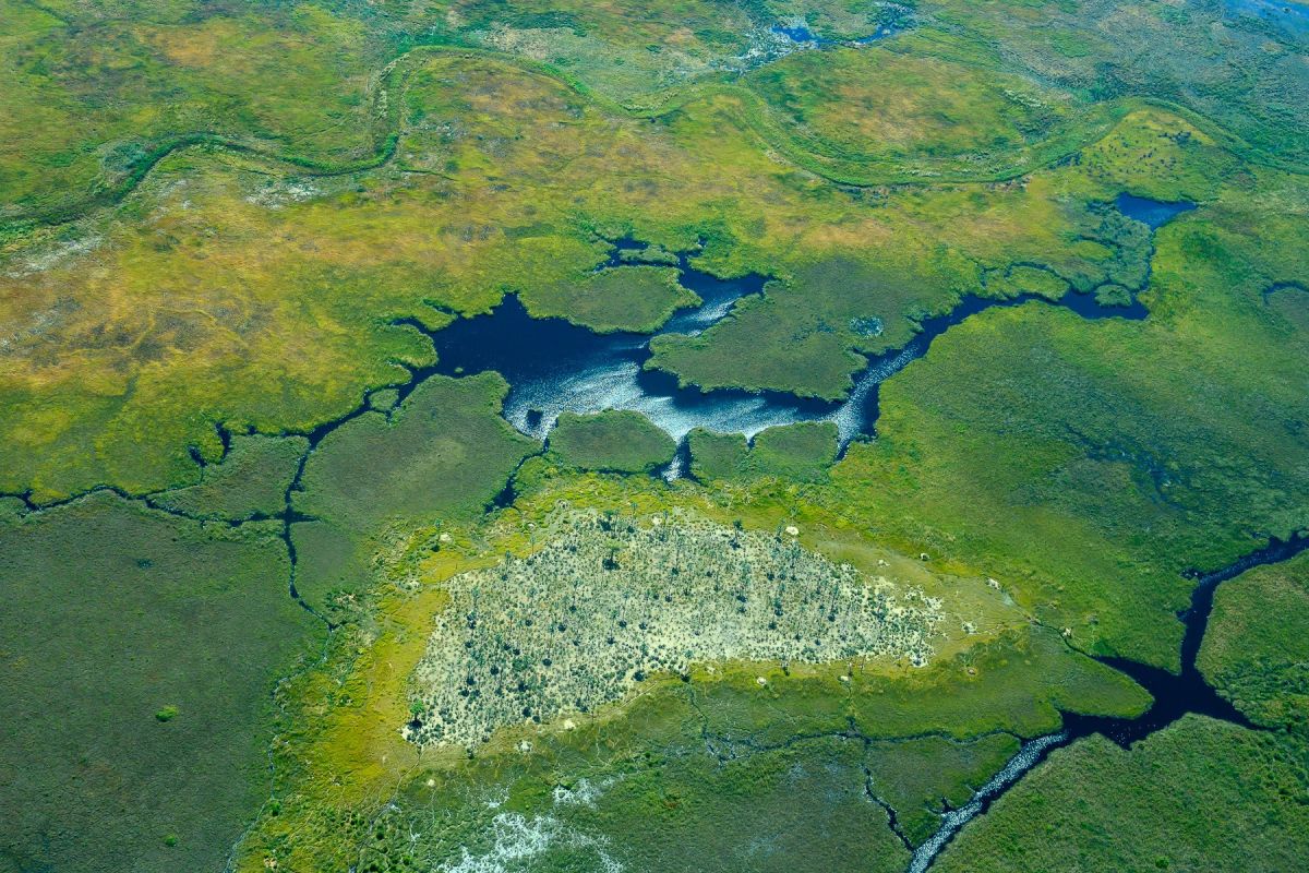 Erkunden Sie das Okavango-Delta aus der Luft: Ein atemberaubendes Naturwunder in Botswana.