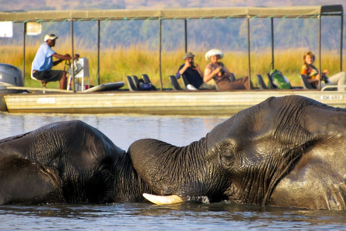 Bootsfahrt auf dem Chobe-Fluss in Botswana mit Elefanten und Natur