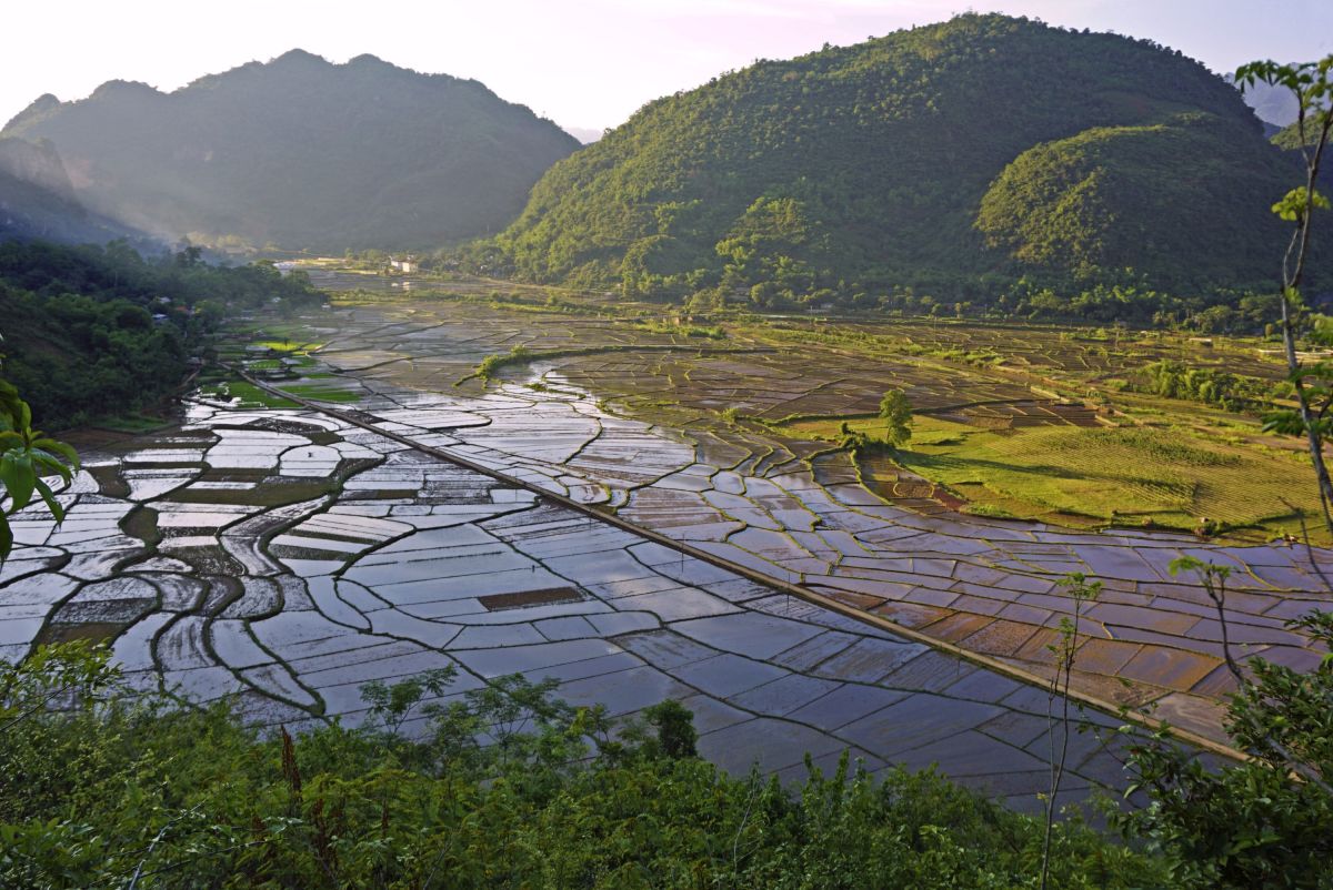 Blick auf die fruchtbaren Felder in der Abendsonne bei Mai Chau, Vietnam