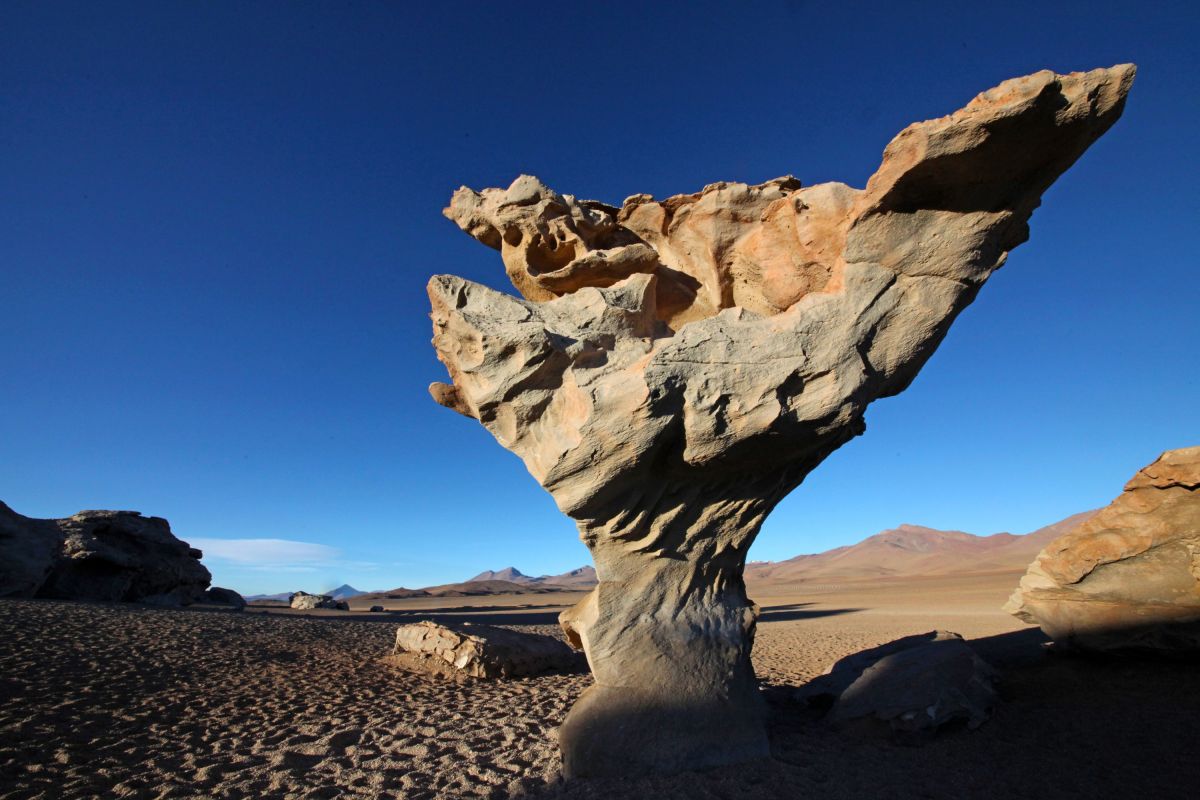 Entdecken Sie den beeindruckenden Steinbaum Arbol de Piedra in der Wüste in Bolivien