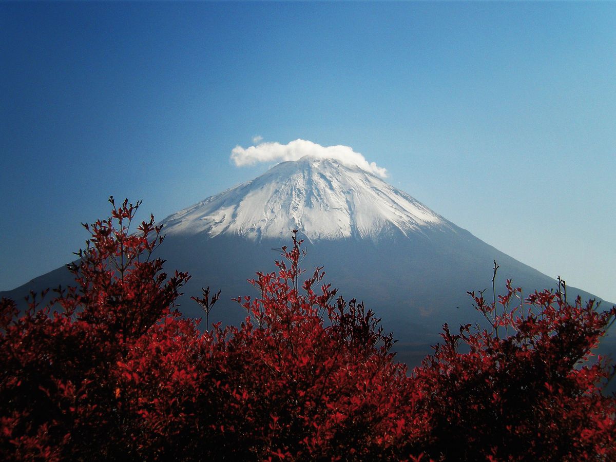 Erkunden Sie den majestätischen Berg Fuji in Japan im Herbst mit leuchtend roten Bäumen