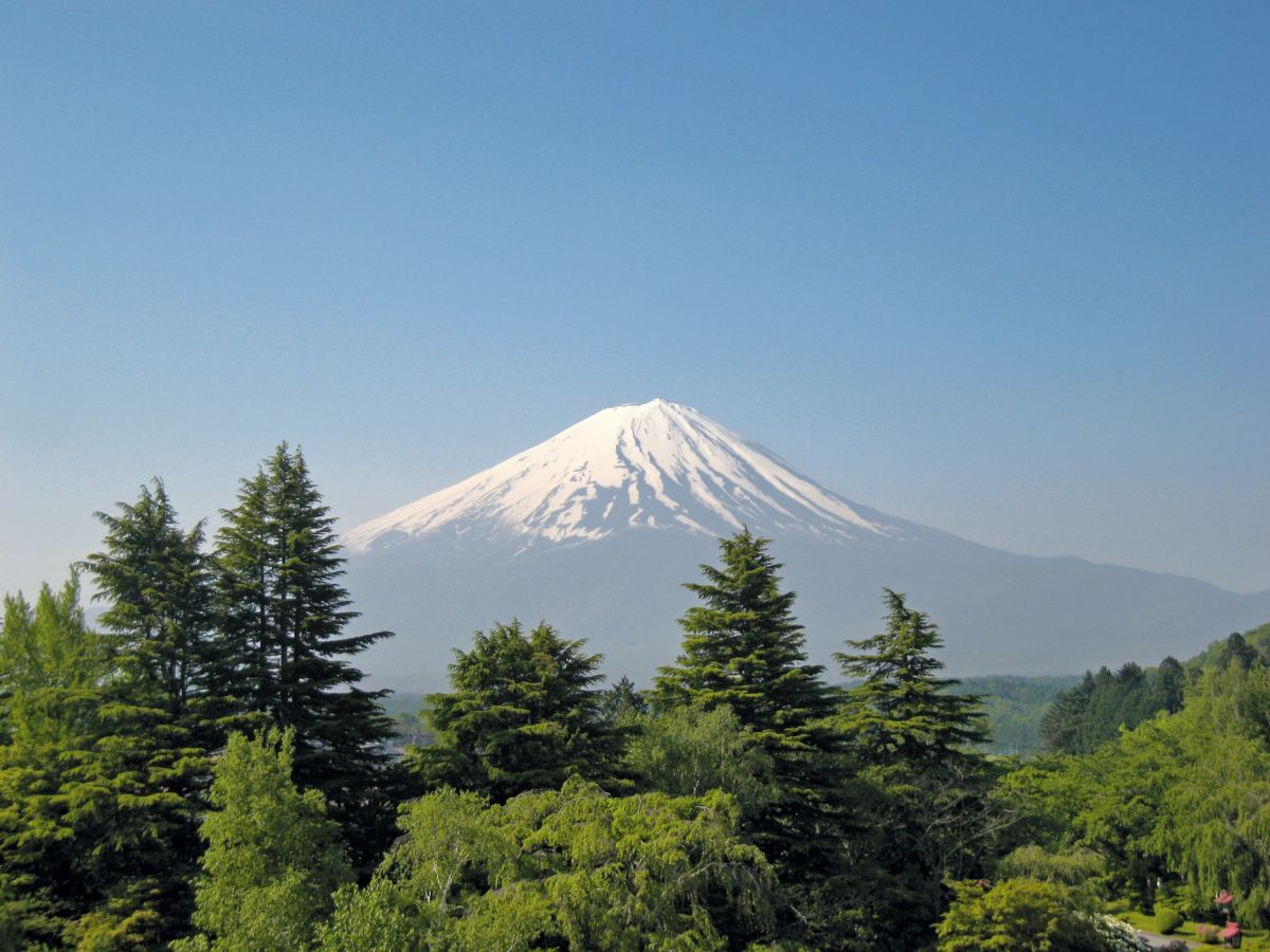 Erfreuen Sie sich am majestätischen Mt. Fuji in Japan, umgeben von üppiger Natur.