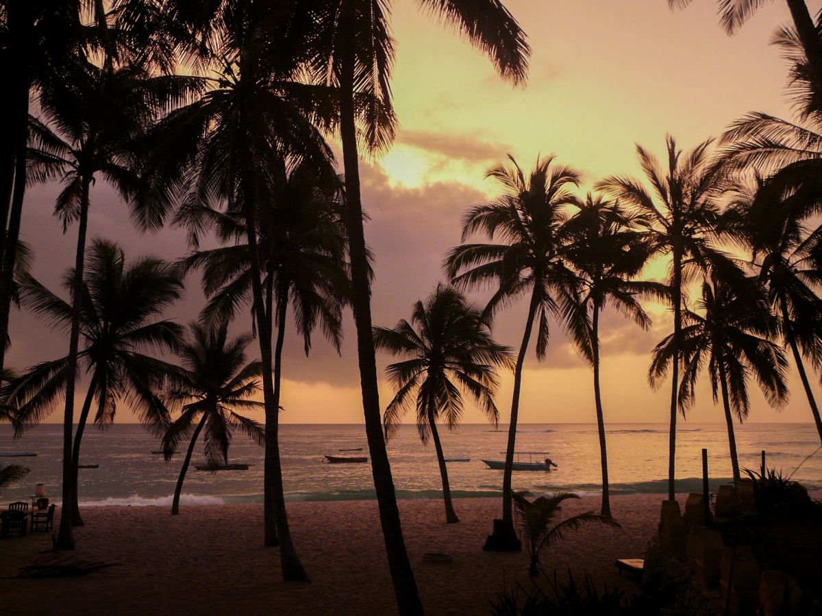 Erleben Sie den Sonnenuntergang am Strand der Coconut Beach Lodge in Kenia