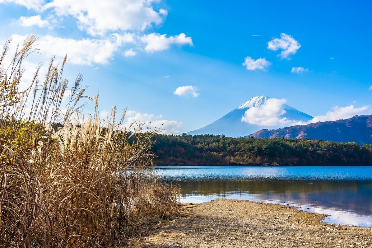 Oishi-Park mit Blick auf den beeindruckenden Fuji-san in Japan
