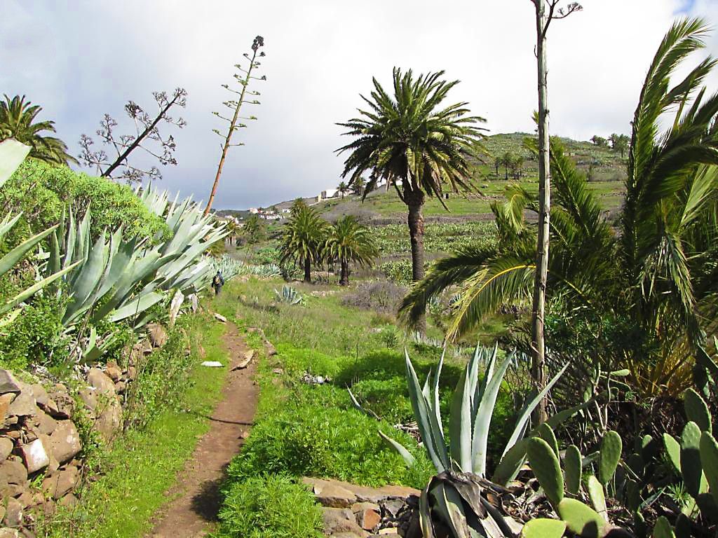 Wandern bei Las Hayas auf Gomera – Entspannen in der Natur Spaniens