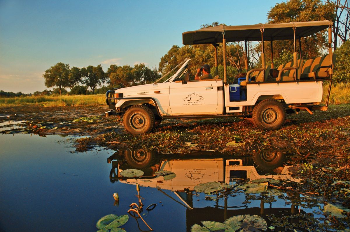 Auf Safari im Okavango-Delta: Abenteuer in Botswana erleben