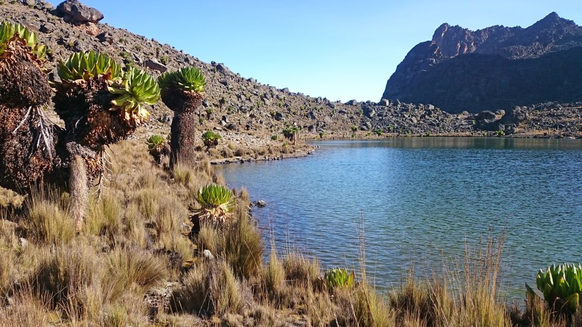 Bergsee in der Landschaft des Mount Kenya