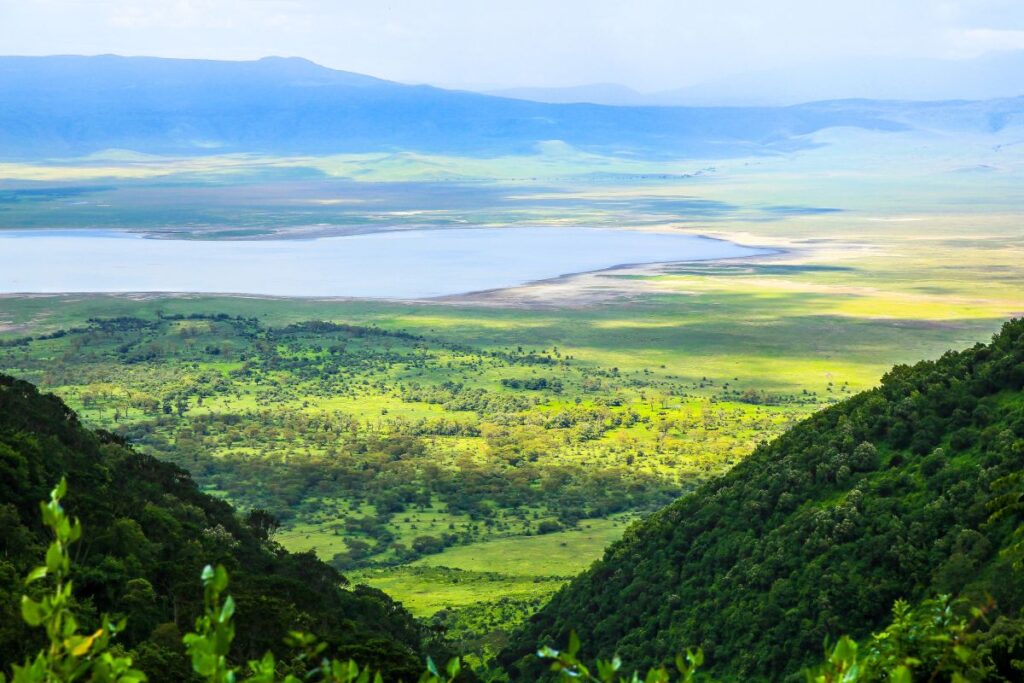 Blick auf das satte Grün des Ngorongoro Kraters in Tansania während der Regenzeit
