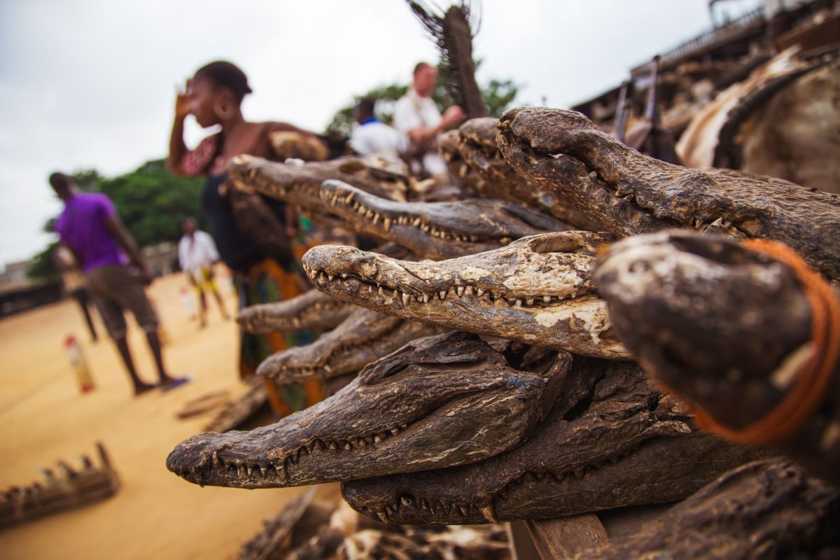 Akodessewa Fetisch Markt in Togo: Ein authentisches kulturelles Erlebnis