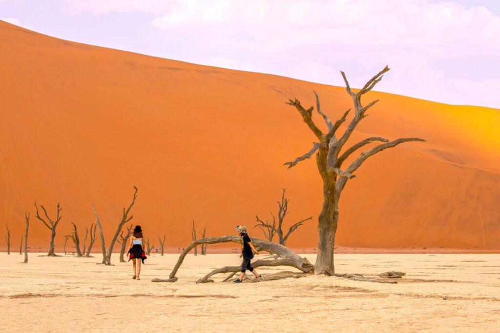 Abenteuer im Deadvlei – Entdecken Sie die Wüste Namibias