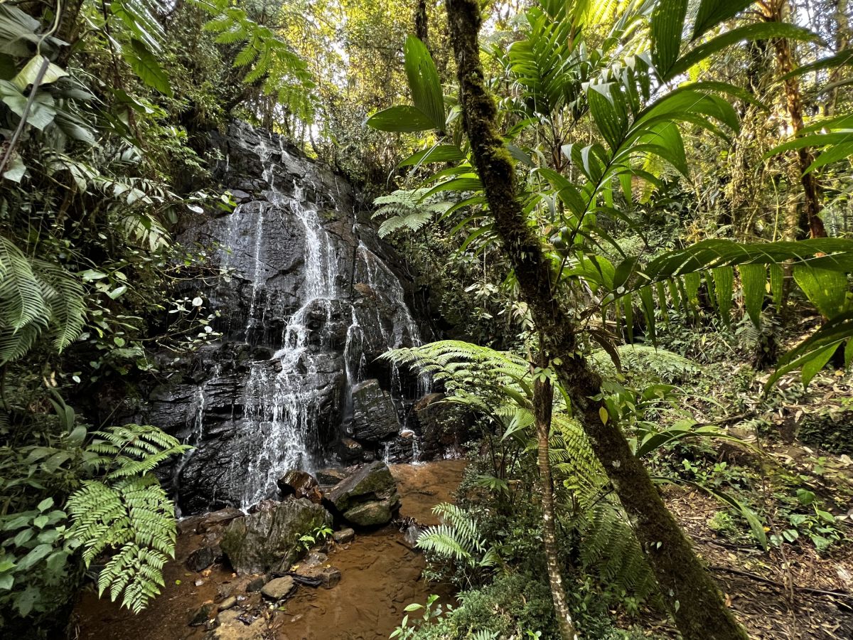 Wasserfall im Nebelwald rund um Ram Tzul, Guatemala – Entdecken Sie die Natur