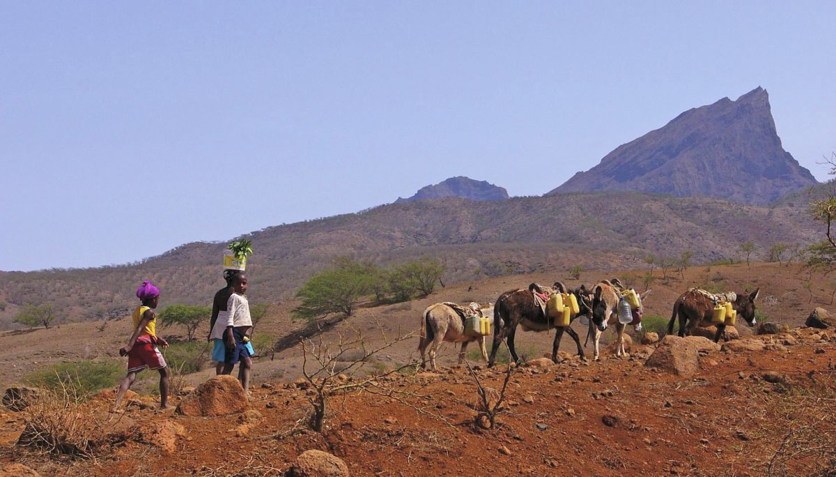 Pico de Fogo: Kinder und Esel auf dem Weg in der Landschaft der Kapverden