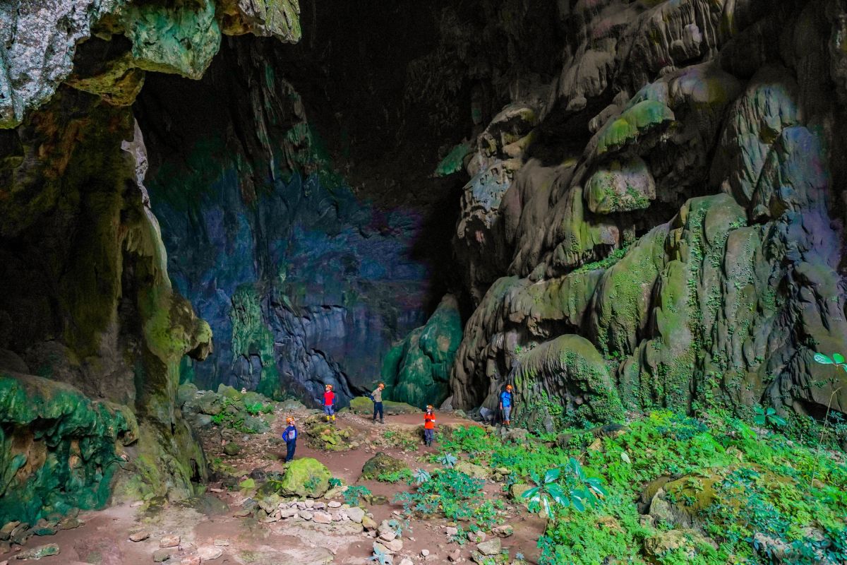 Erleben Sie die Elephant Cave im Mada Valley – ein Abenteuer in der Natur von Vietnam