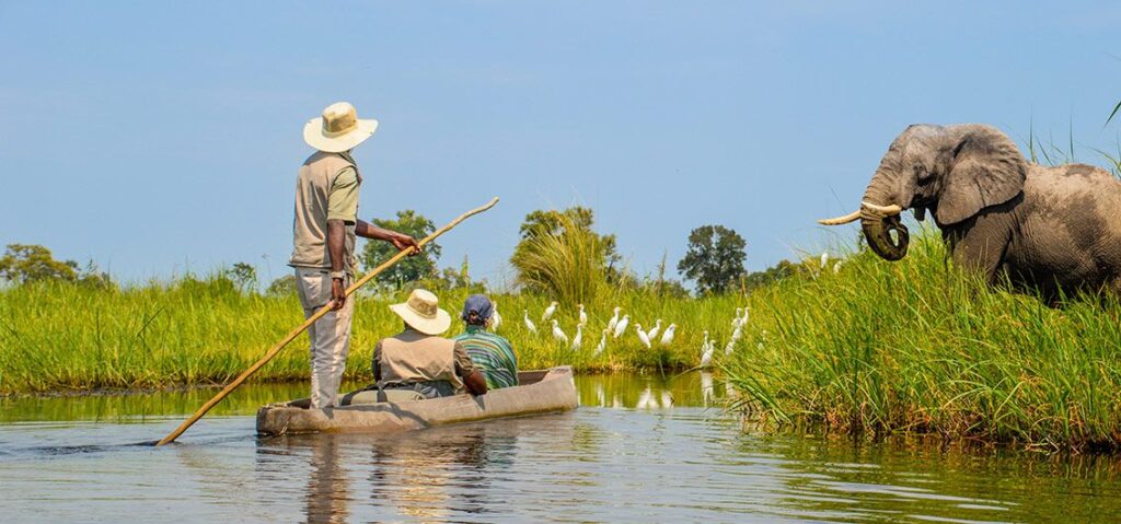 Im-Mokoro-Kanu-unterwegs-im-Okavango-Delta---15---