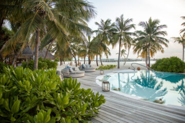 Swimmingpool mit Palmen und Luxuriösen Betten