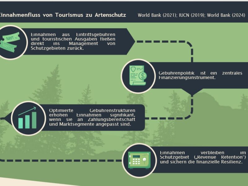 Meta-Studie-1-800x600