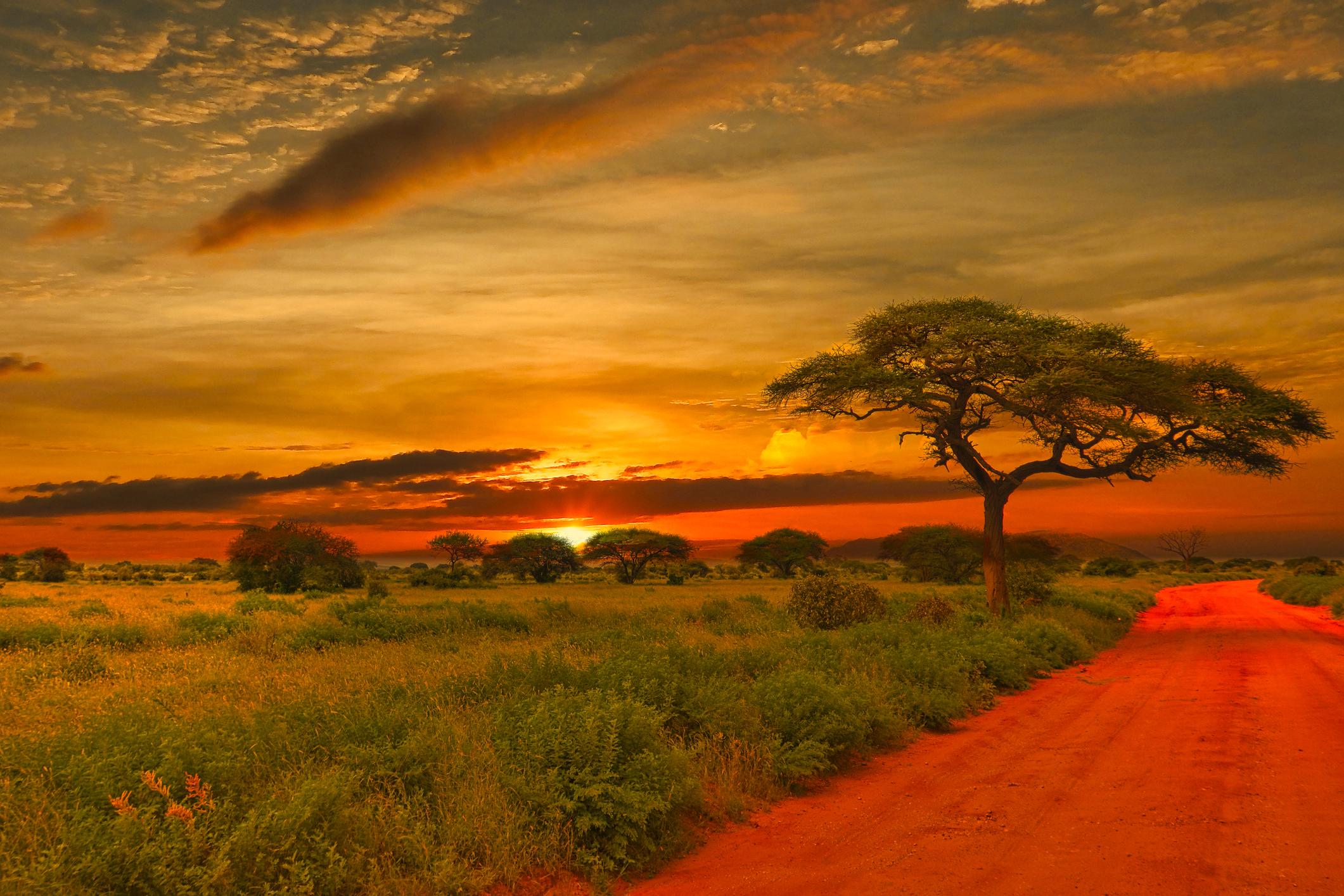 Afrikanische Landschaft in rotes Sonnenunterganslicht getränkt