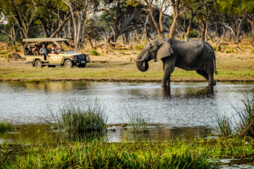 Elefant im Fluss, Jeep mit Menschen auf Safari die den Elefant beobachten