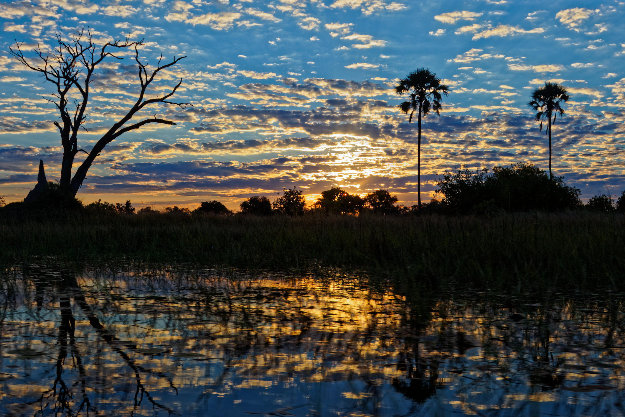 Wasserlandschaft im Okavango-Delta unter einem dramatischen Abendhimmel