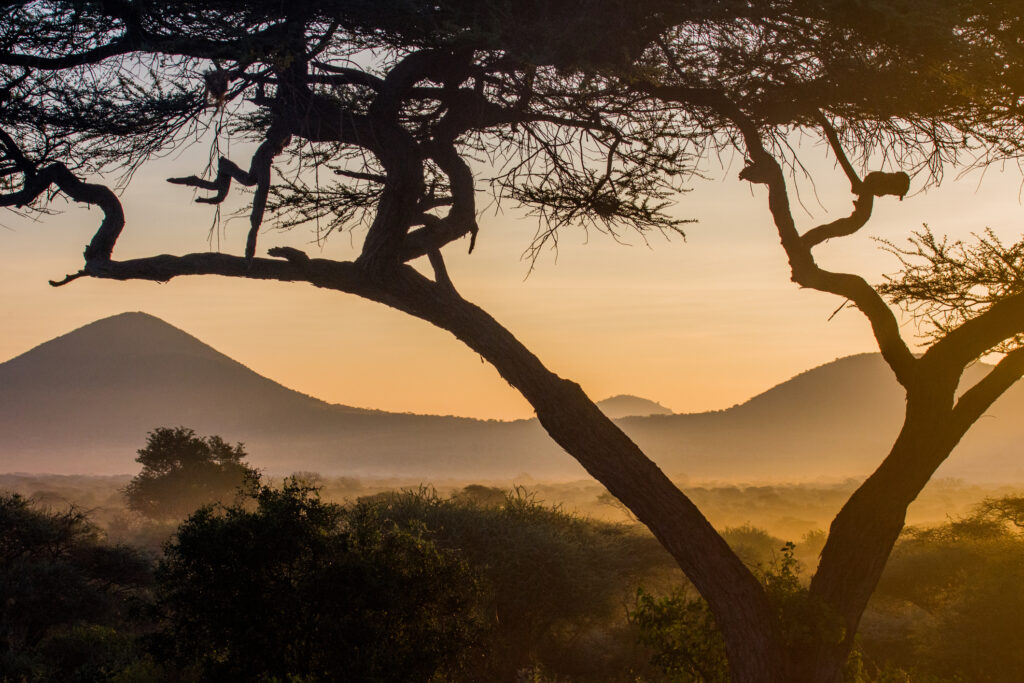 Afrika mit Nebel des Regens in Sonnenuntergangs Licht