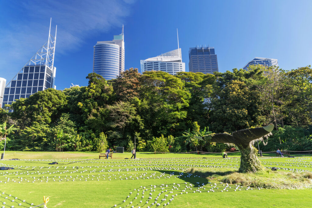 Grüne Bäume vor Wolkenkratzern Sydney