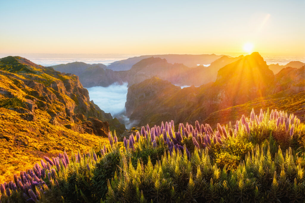 Berge und Klippen am Meer mit goldenem Sonnenlicht