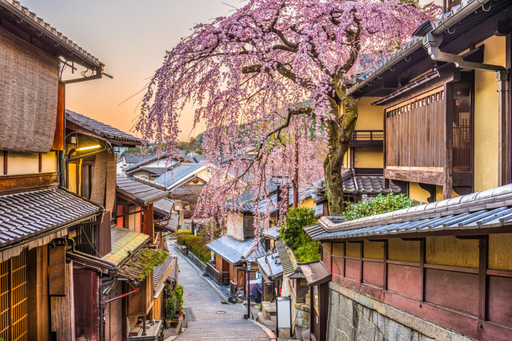 Straße im Kyoto im Frühling mit rosa Kirschbaum