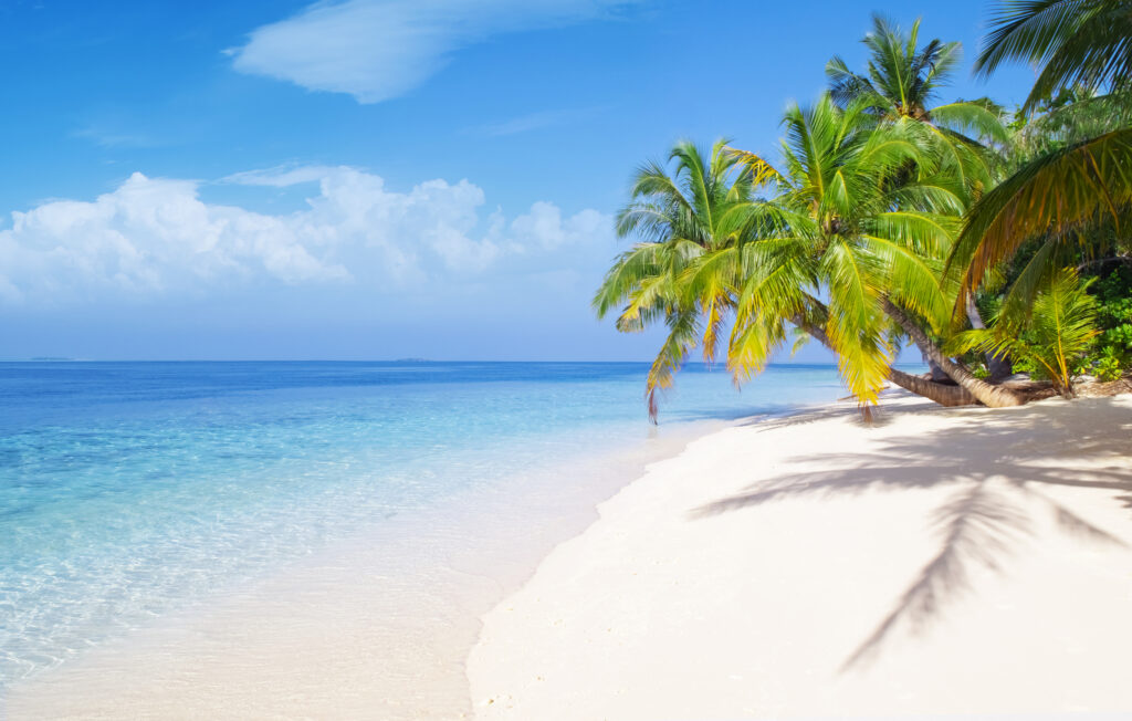 Weißer Sandstrand mit Palme und Meer