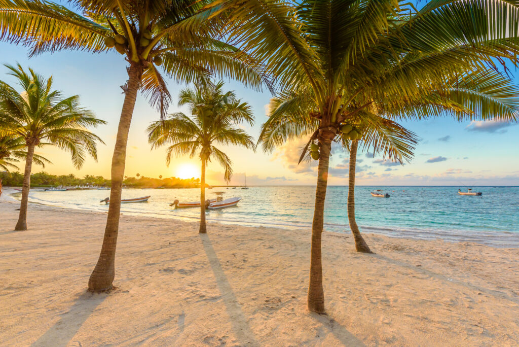 Palmen Strand und Meer mit Sonne