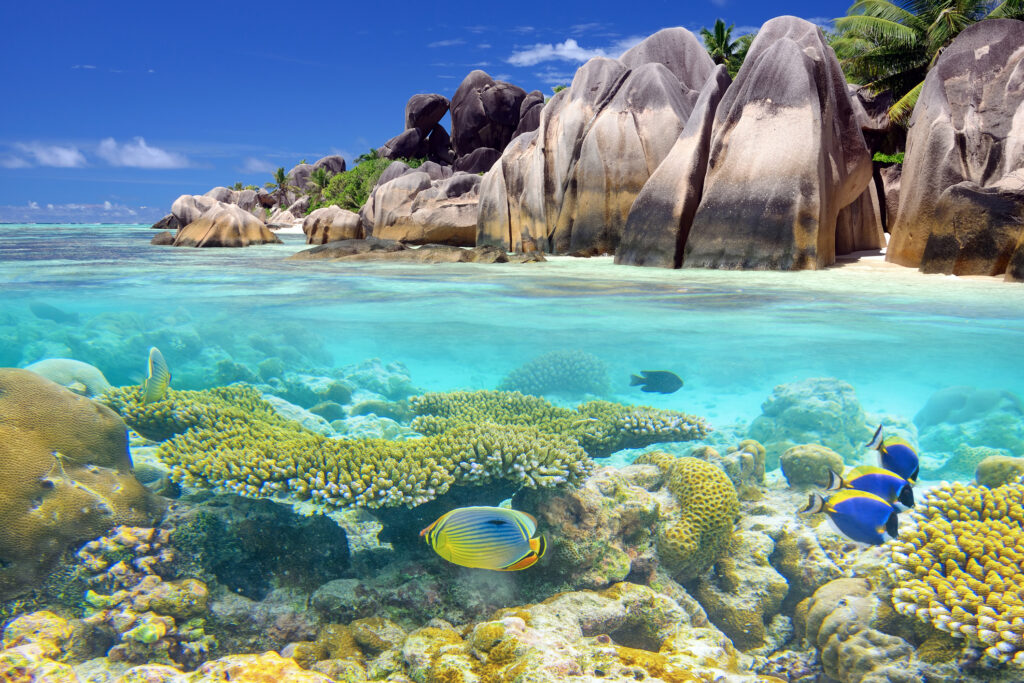 Ansicht von Seite ins Meer mit Fischen und Felsen am Rand