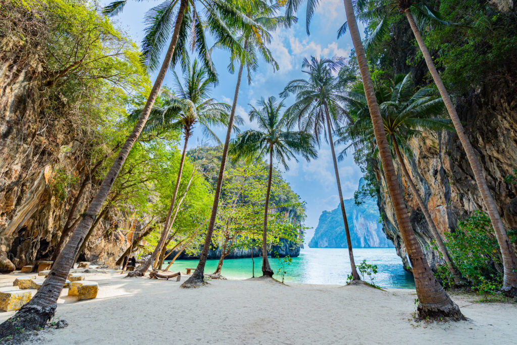 Palmenstradn und Meer mit Felsen