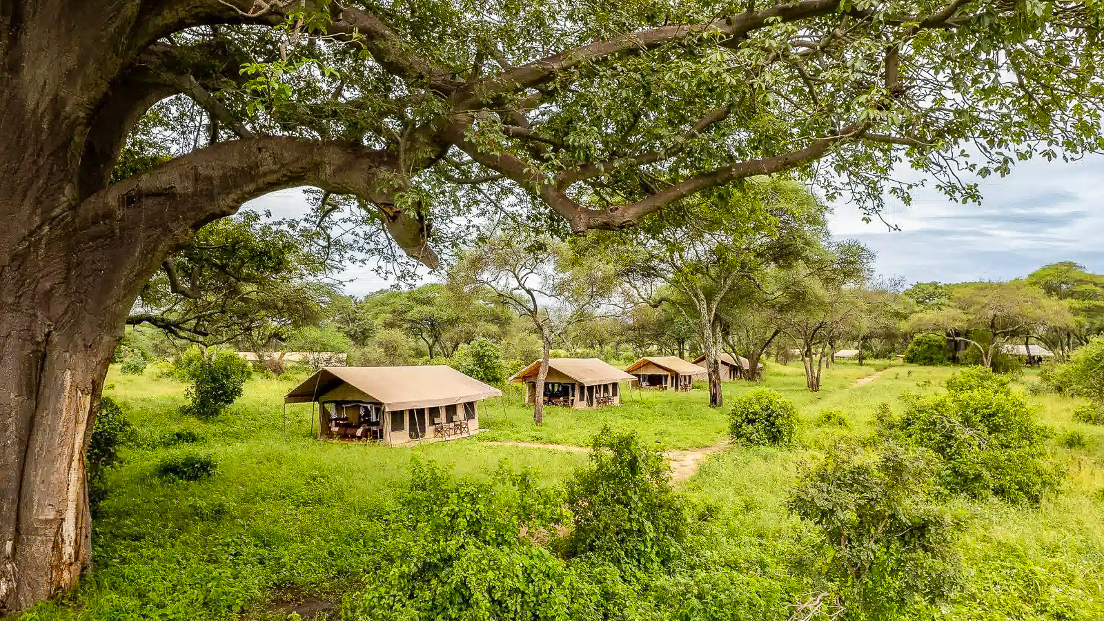 Baobab Tented Lodge
